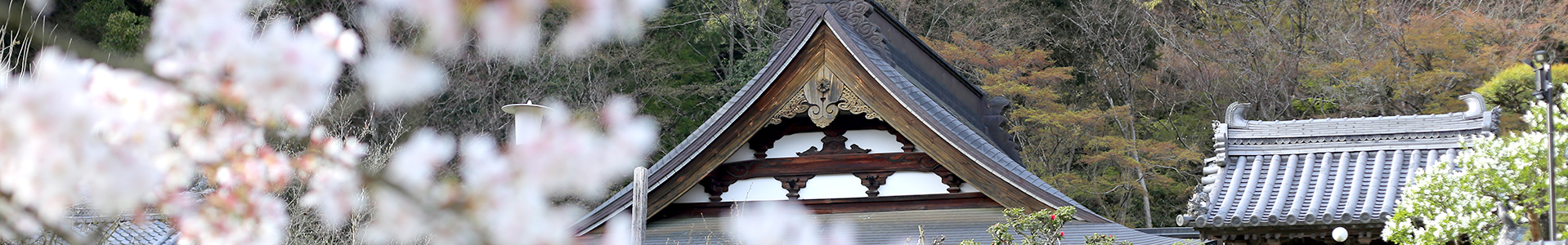 花の寺で永代供養イメージ画像