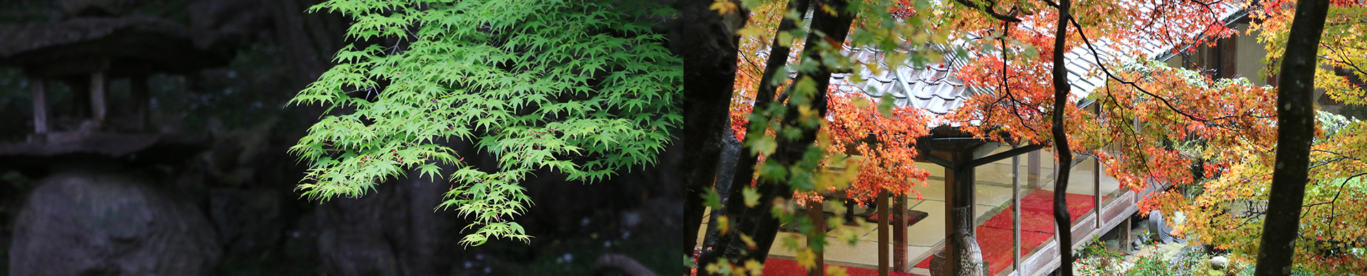 應聖寺全景写真