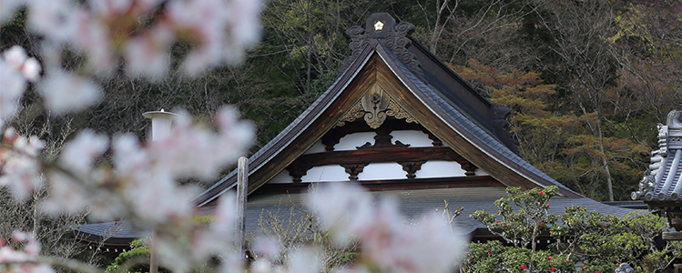 花の寺で永代供養イメージ画像