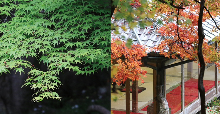 應聖寺全景写真