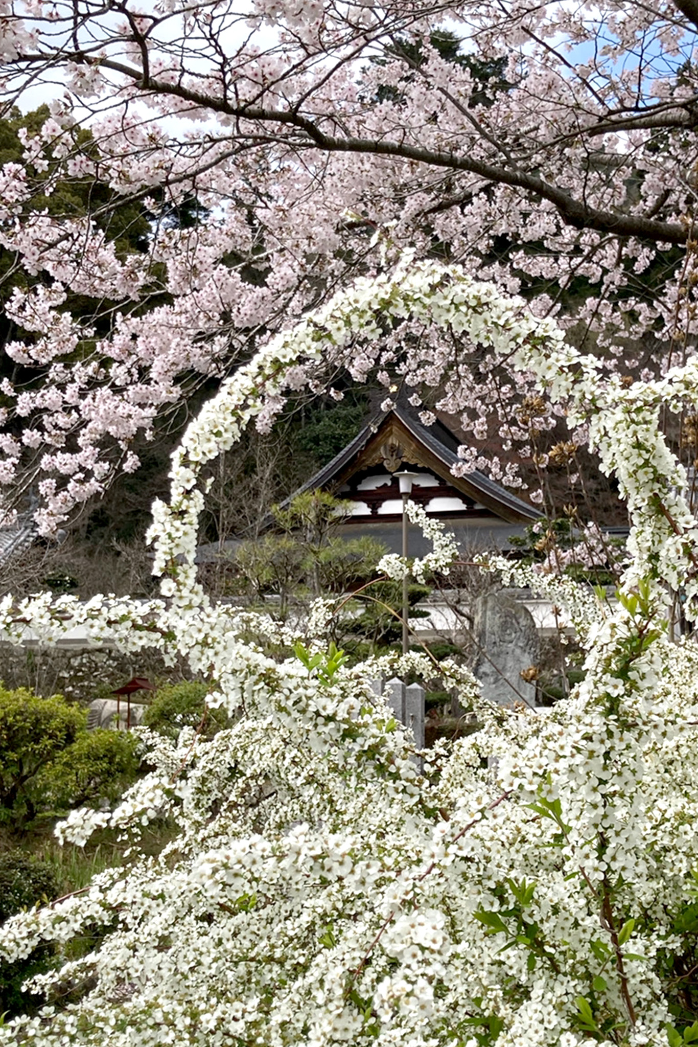お知らせ①写真